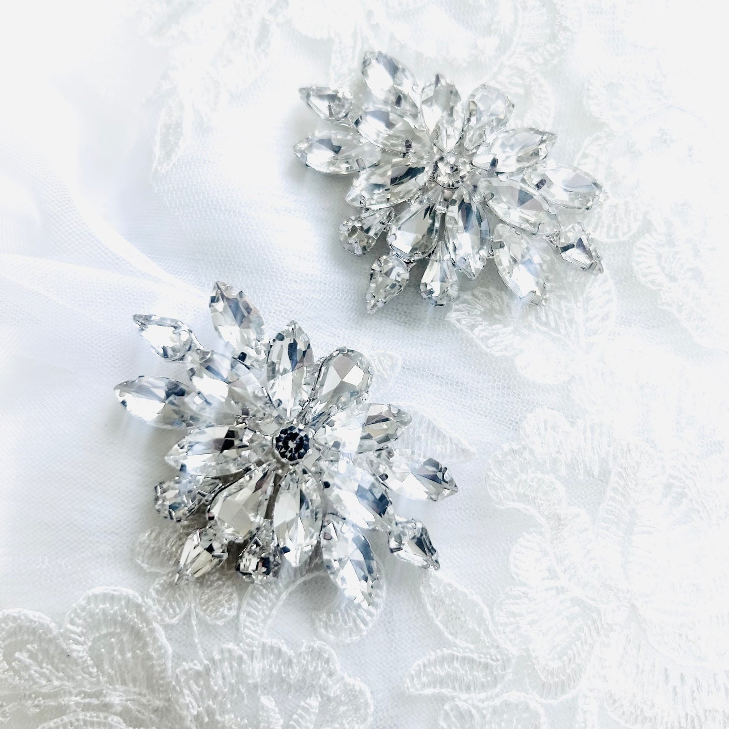 Violet Shoe Clips