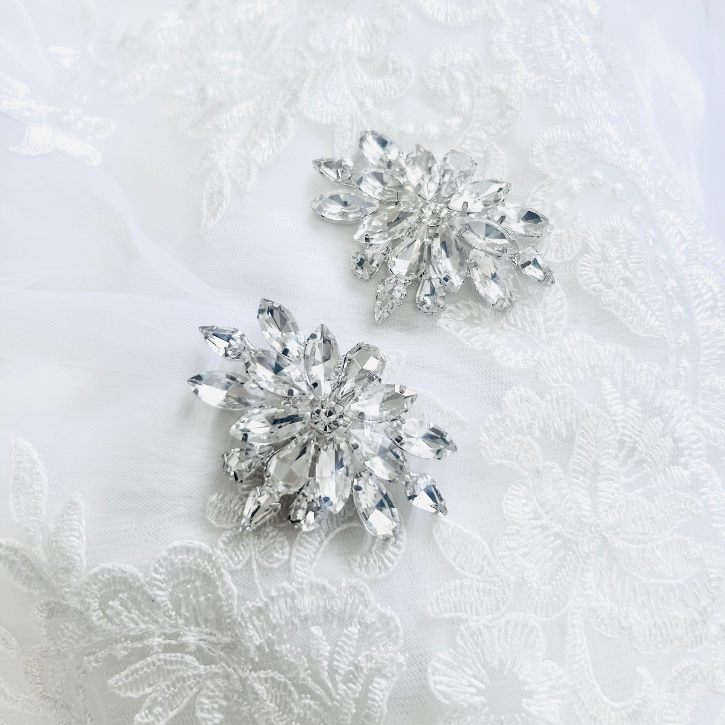 Violet Shoe Clips